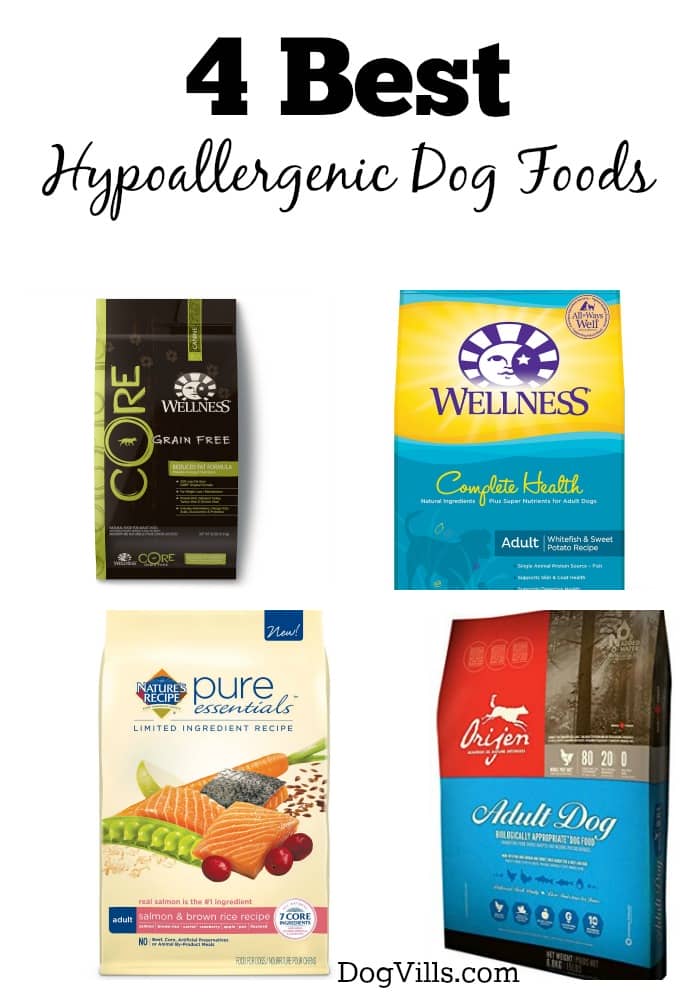 4 Best Hypoallergenic Dog Foods - DogVills