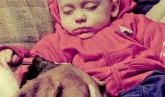 Dogs and babies go together like peanut butter and jelly, but you have to prepare the sandwich. Dog and babies can get along great if you approach it well.