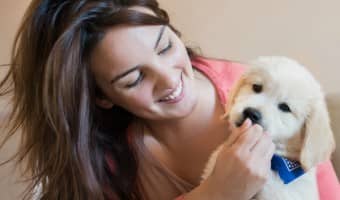Getting ready to bring home a new family friend? Check out our tips on how to puppy proof your home before adoption to keep your little guy safe!