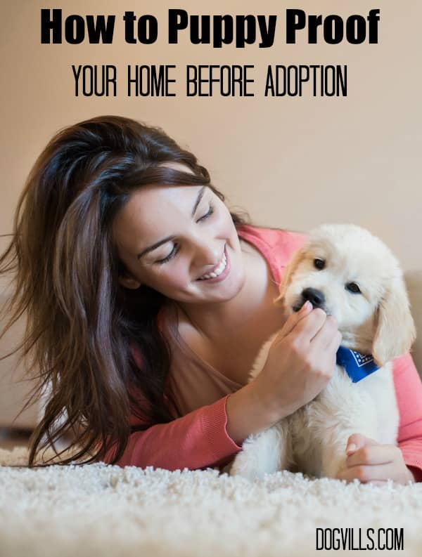 Getting ready to bring home a new family friend? Check out our tips on how to puppy proof your home before adoption to keep your little guy safe!
