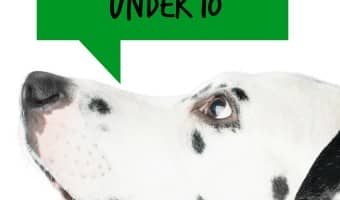 If you're planning to bring a new family friend home for your children, check out this list of our picks for the best dog breeds for kids under 10 years.