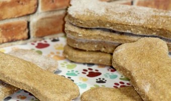 Need a yummy new hypoallergenic dog treats recipe for rewarding your pooch? Try these delicious & easy peanut butter bones made with coconut flour!
