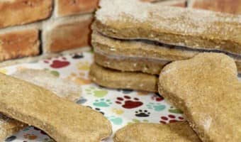 Need a yummy new hypoallergenic dog treats recipe for rewarding your pooch? Try these delicious & easy peanut butter bones made with coconut flour!