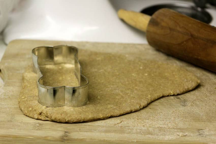 Hypoallergenic Dog Treats: Coconut Peanut Butter Bones
