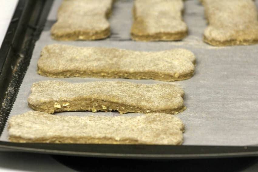 Hypoallergenic Dog Treats: Coconut Peanut Butter Bones