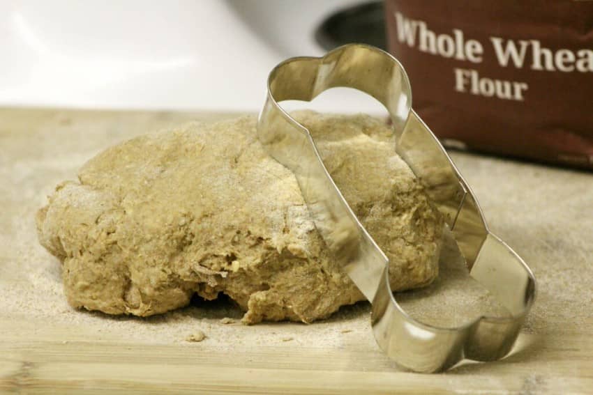 Hypoallergenic Dog Treats: Coconut Peanut Butter Bones