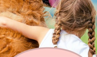 Therapy dogs for autistic children have so many different benefits, from helping your child form incredible bonds to providing a calming presence in an over-stimulated world.
