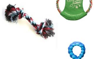 Here are what we think are the Best Braided Rope Chew Toys For Large Breed Puppies. These give your dogs a chance to work out some energy.
