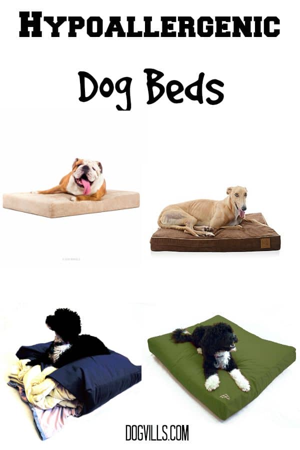 anti dust mite dog bed