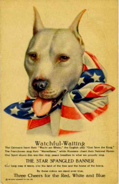 World War I Poster depicting an American Staffordshire Terrier, one of the types of pitbull puppies