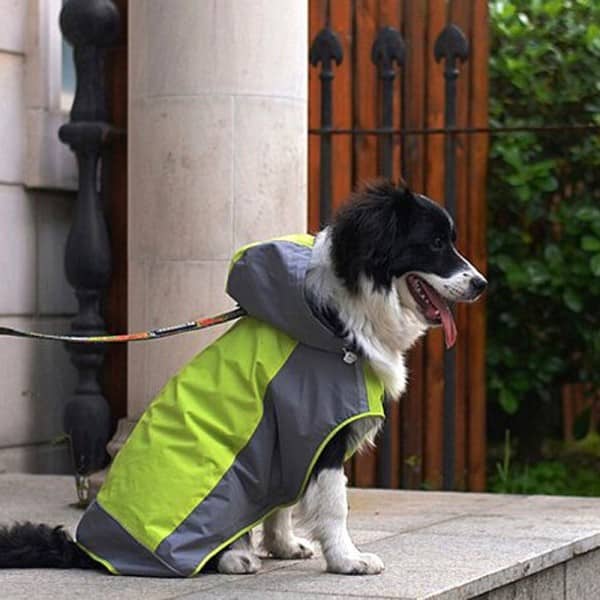 Keep your best canine friend warm, dry and totally on trend with these stylish waterproof dog jackets! Check them out now!