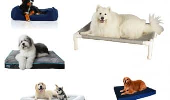 Need help finding the best outdoor waterproof dog beds? We've got you covered with this detailed guide. We review the 8 best dog beds for outdoors to help you make an informed choice. Check our thorough guide.