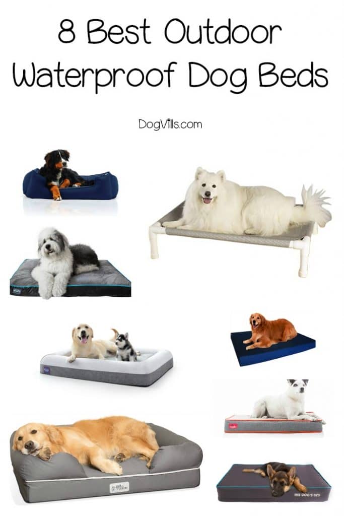 xlarge waterproof dog bed