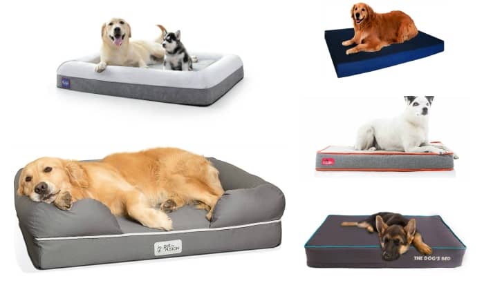 xlarge waterproof dog bed