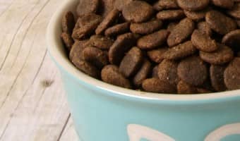 One of the best hypoallergenic dog foods for animals and people is duck and potato. This hypoallergenic dog food is free of ingredients that affect people.