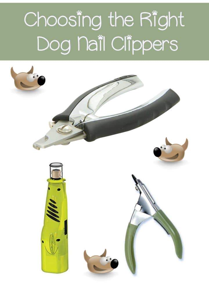 different types of dog nail clippers