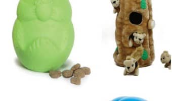 Dogs get bored rather quickly and can get destructive if that boredom isn't cured fast. Here are some of the best stimulating toys for bored dogs.