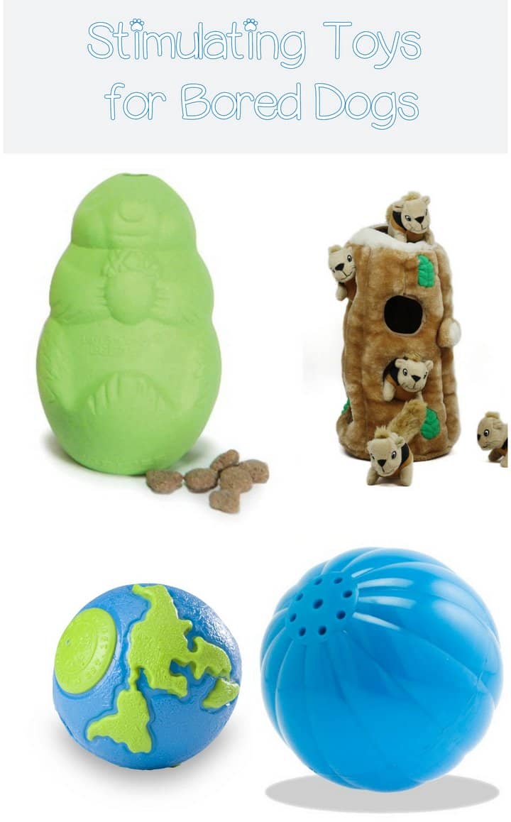 Dog Toys To Keep Dogs Occupied Dog Toys To Keep Dogs Occupied