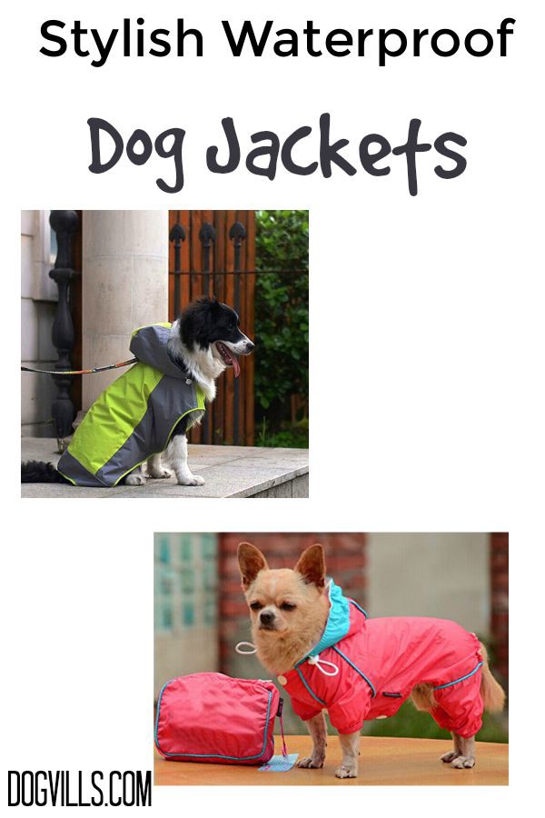 Keep your best canine friend warm, dry and totally on trend with these stylish waterproof dog jackets! Check them out now!
