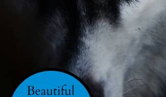 Honor your beloved family companions that have crossed the Rainbow Bridge with these beautiful and tasteful memorials for dogs during World Animal Remembrance Month.