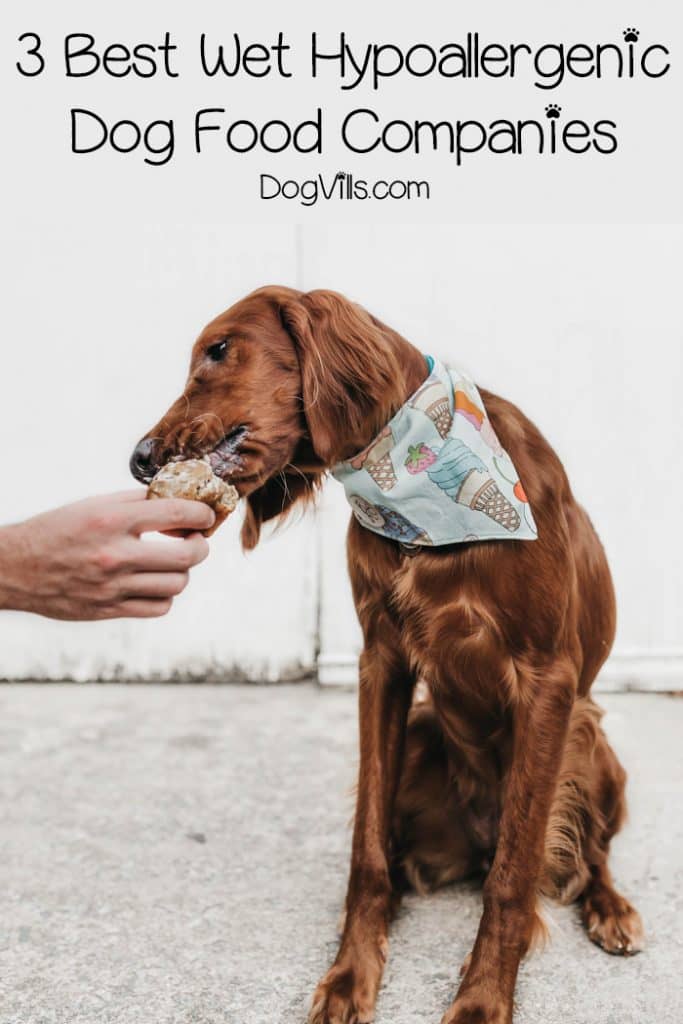 hypoallergenic wet dog food