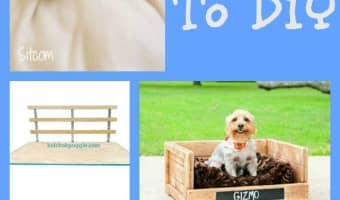 Why spend a fortune on dog beds for your pooch when you can make one of these great DIY Dog beds and get sewing!