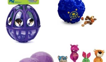 Doesn't your hard-working service dog deserve the best interactive toys for his playtime? Check out a few of our favorites to keep him engaged & learning!