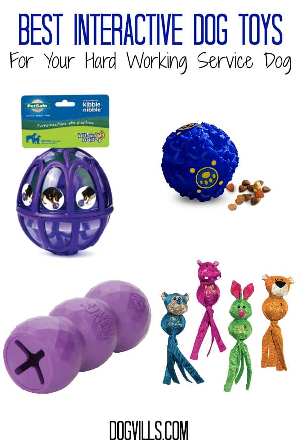 Best Interactive Dog Toys For Your Hard Working Service Dog