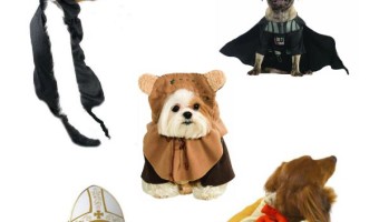 These Halloween costumes for toy breed dogs are perhaps the cutest things we've ever seen on the planet. Check them out!