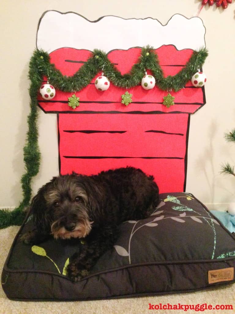 5 Fantastic DIY Dog Beds