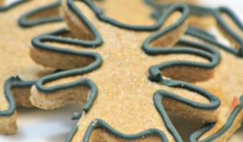 Looking for a great hypoallergenic dog treat recipe? Check out our fun spider Halloween dog treat & let your pooch in on the spooky festivities!