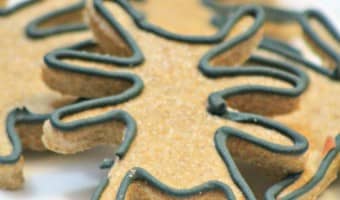 Looking for a great hypoallergenic dog treat recipe? Check out our fun spider Halloween dog treat & let your pooch in on the spooky festivities!