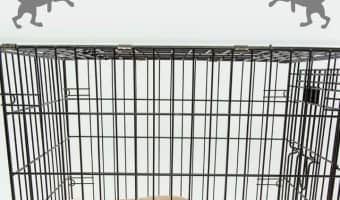 Getting your dog to stop barking in its crate can be a challenge. It can be difficult to train them to stop barking when they are acting pitiful and sad.