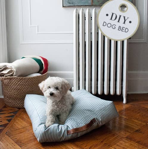 5 Fantastic DIY Dog Beds
