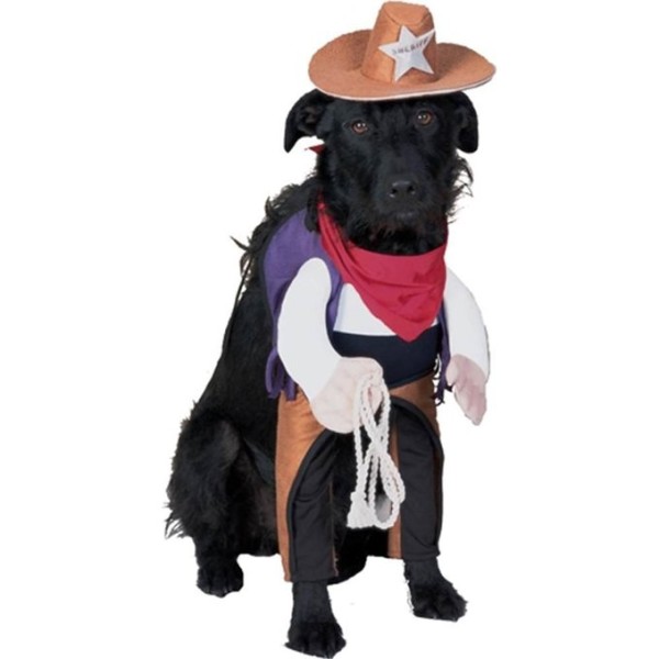 halloween costumes for boy dog