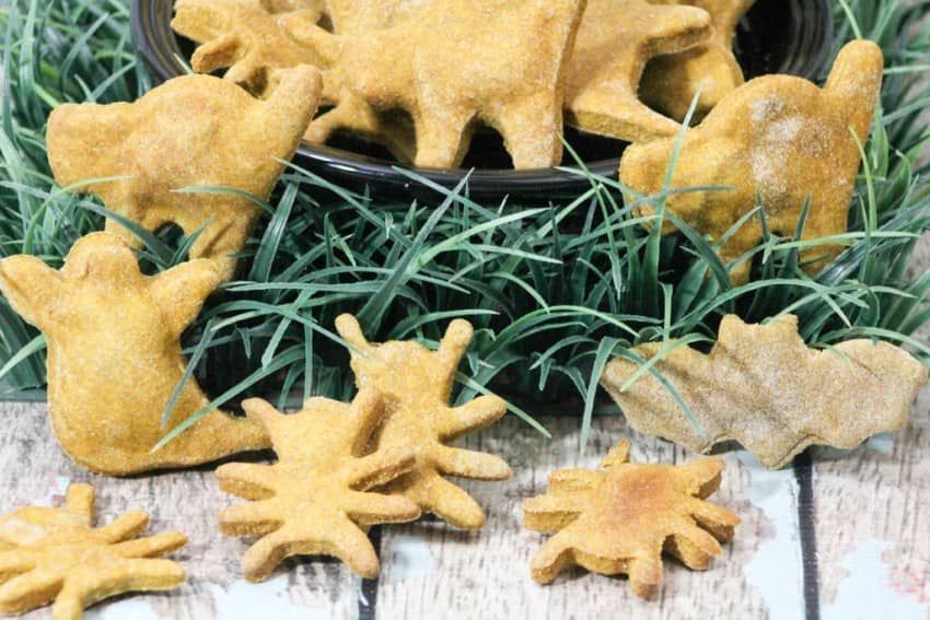 Whip up a batch of these Halloween hypoallergenic dog treats to give your dog a fun reward & make his hypoallergenic dog food more fun! 