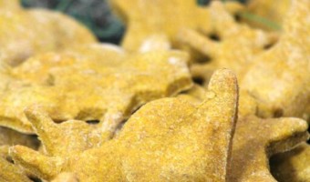 Whip up a batch of these Halloween hypoallergenic dog treats to give your dog a fun reward & make his hypoallergenic dog food more fun!