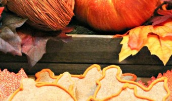 With all the fun fall holidays, I love making my dogs this fun pumpkin hypoallergenic dog treat recipe! Check out how to make this 4-ingredient treat!