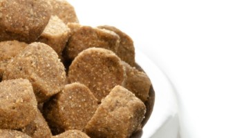Wondering about Oven-Baked Tradition Dog Food? Check out the inside scoop and find out if this is the right natural kibble for your picky pooch!