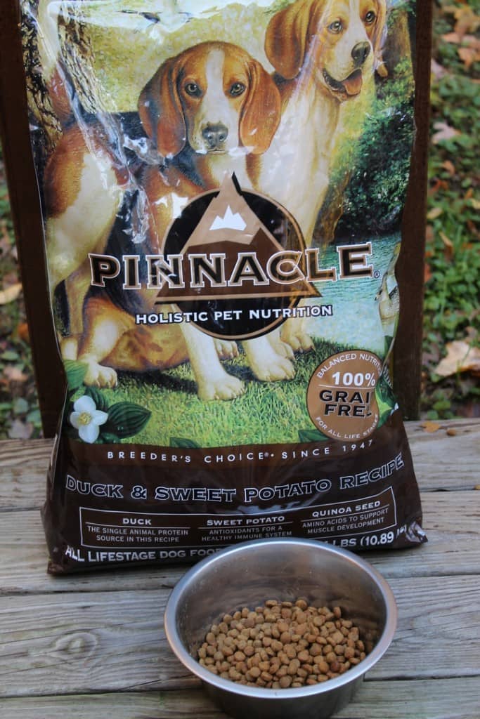 Looking for a great food for sensitive tummies that also supports your dog's immune system? Check out our Pinnacle Grain-Free Dog Food Review 