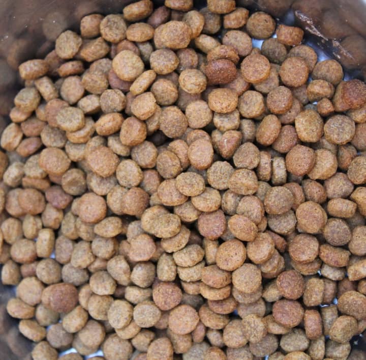 Looking for a great food for sensitive tummies that also supports your dog's immune system? Check out our Pinnacle Grain-Free Dog Food Review 
