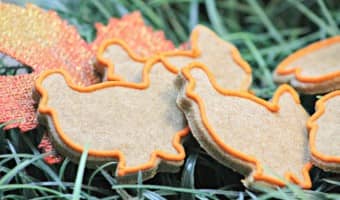 Let your dog celebrate with the family in a safe way with this delicious and cute Thanksgiving hypoallergenic dog treat recipe!