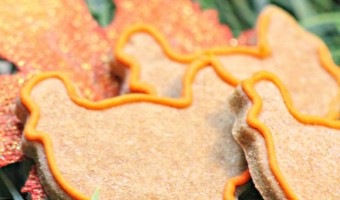 Let your dog celebrate with the family in a safe way with this delicious and cute Thanksgiving hypoallergenic dog treat recipe!