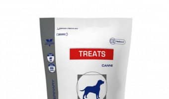 Hypoallergenic dog treats from Royal Canin are a viable option for your food sensitive dog. Get the scoop on these great snacks for your pooch!