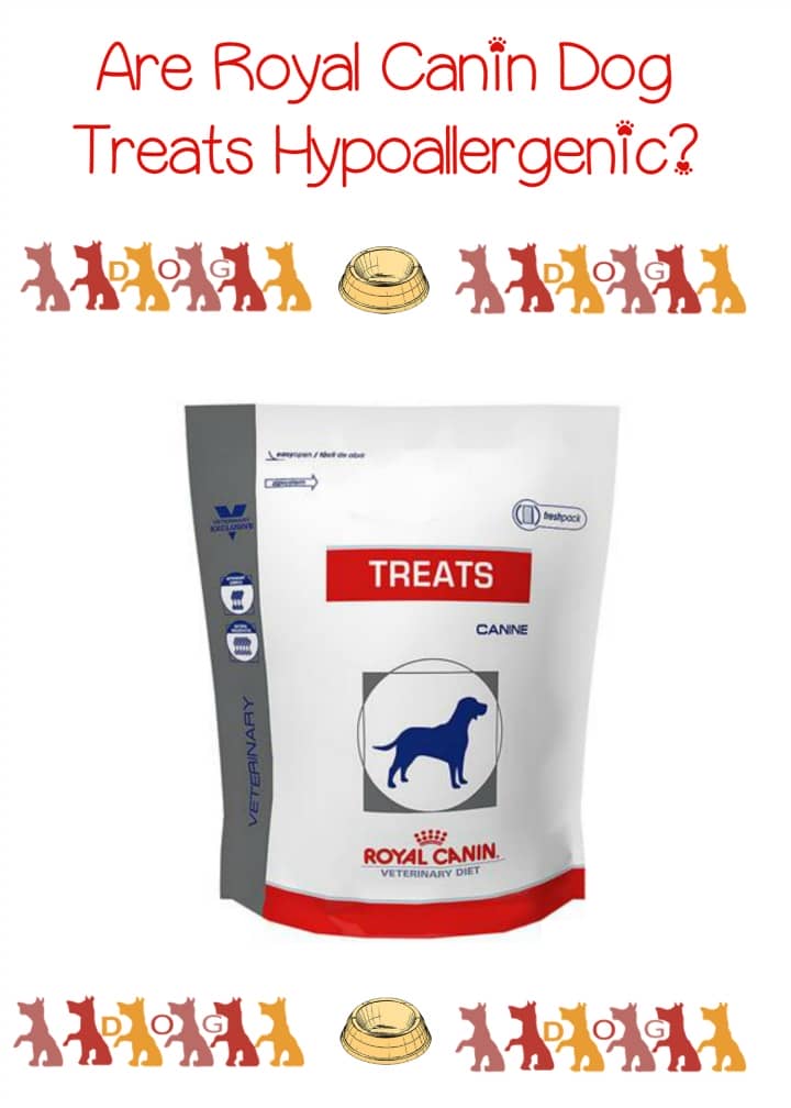 Hypoallergenic Dog Treats From Royal Canin Hypoallergenic Dog Treats From Royal Canin