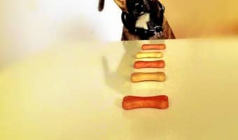 There are several hypoallergenic dog treats out there. However, there's only one brand of prescription hypoallergenic dog treats. Find out more about it.