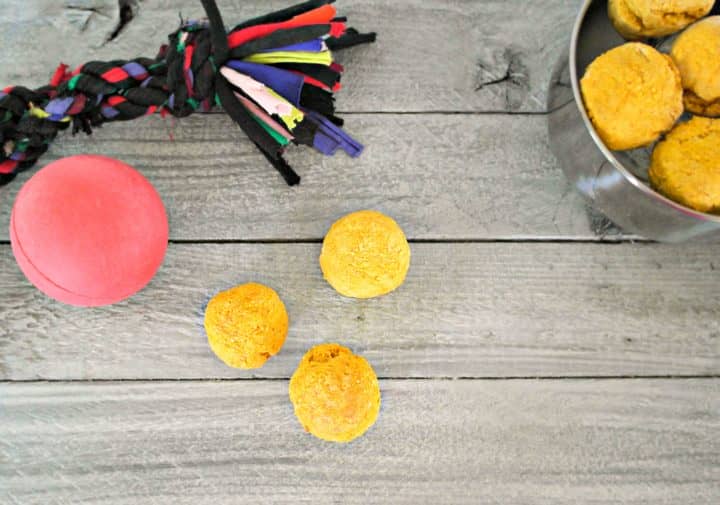 Skip the sugar-laden drive through freebie and whip up a batch of these pumpkin doggy donut holes hypoallergenic dog treats for your pooch!