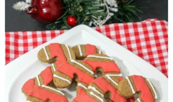 Looking for Christmas hypoallergenic dog treats? Check out this adorable candy cane holiday dog treats recipe! It's easy to make, and your pup will love it!