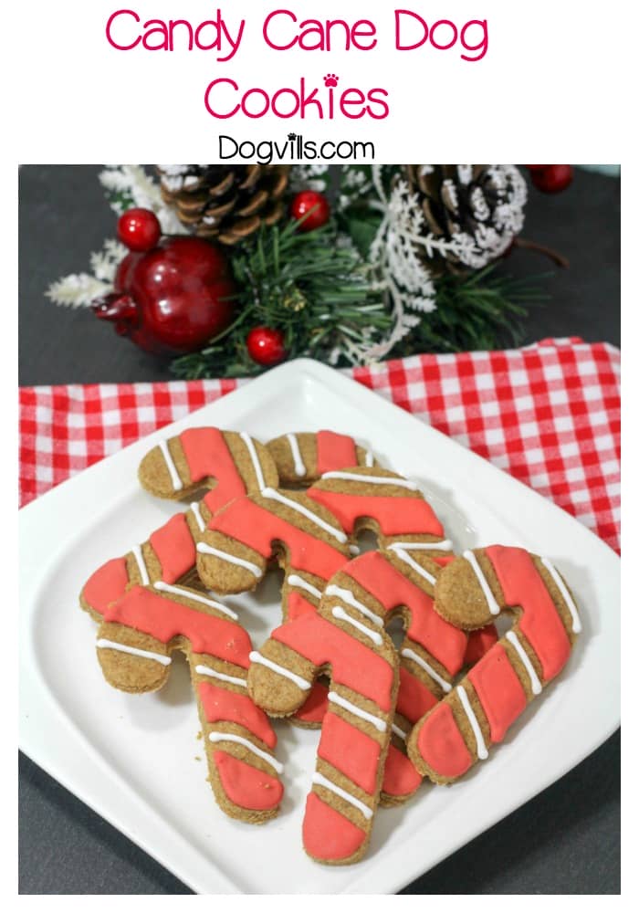 Hypoallergenic Dog Treats: Holiday Dog Treat Candy Canes