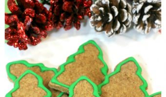 Ready for another great holiday dog treats recipe that you can whip up for your special canine companion? These Christmas Tree treats are so cute!